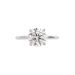 DBK Classic Solitaire Setting Plain in White Gold