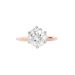 6 Prong Tulip Solitaire Setting With Diamond Bridge In Two-Tone