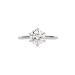 6 Prong Tulip Solitaire Setting (Non-Cathedral Style) In White Gold