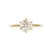 6 Prong Tulip Solitaire Setting (Non-Cathedral Style) In Yellow Gold